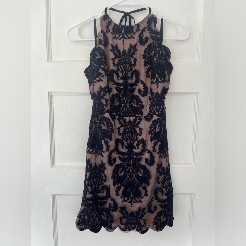 NWT Hello Molly Navy Blue Lace Halter Mini Dress